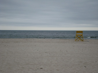 Enlarge photo 40