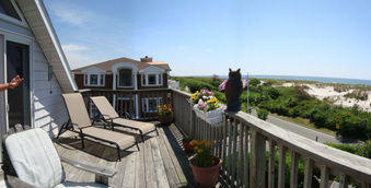 Enlarge photo 22