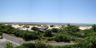 Enlarge photo 24