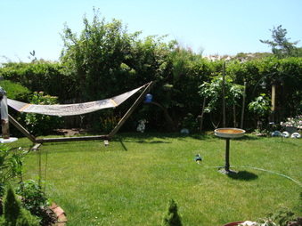 Enlarge photo 27