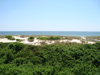 Enlarge photo 56