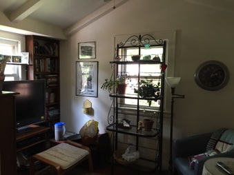 Enlarge photo 37