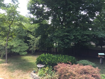 Enlarge photo 66
