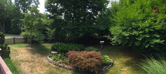 Enlarge photo 67