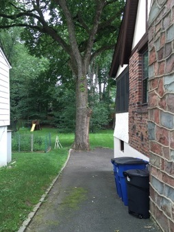 Enlarge photo 13