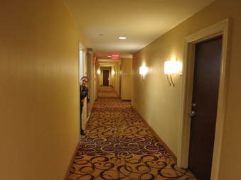 Enlarge photo 179