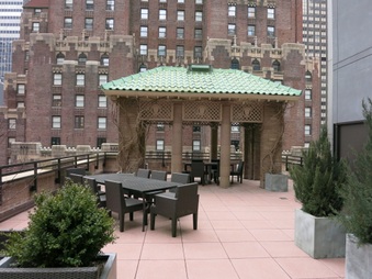 Enlarge photo 258