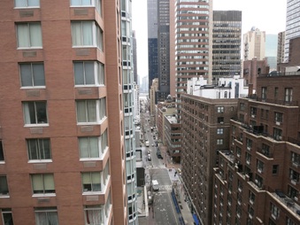 Enlarge photo 259
