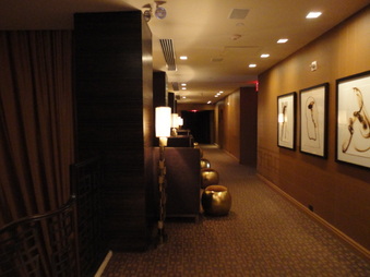 Enlarge photo 35