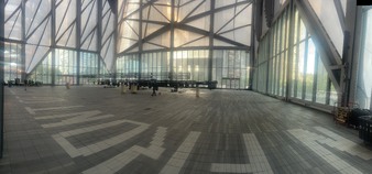 THE SHED