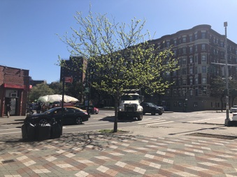 Enlarge photo 20