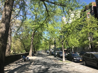 Enlarge photo 18