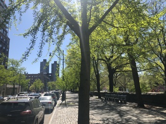 Enlarge photo 28