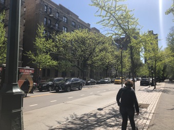 Central Park North East of Malcolm X
