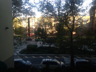 Enlarge photo 6