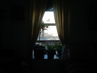 Enlarge photo 25