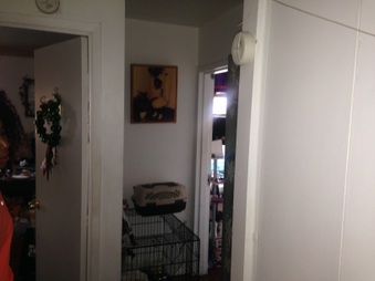 Enlarge photo 32