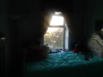 Enlarge photo 34