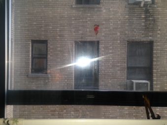 Enlarge photo 41