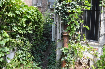 Enlarge photo 55