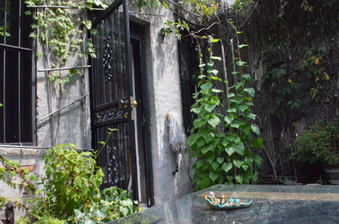 Enlarge photo 56