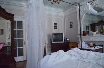 Enlarge photo 63