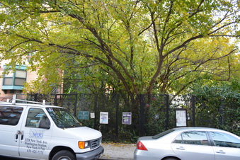 Enlarge photo 9