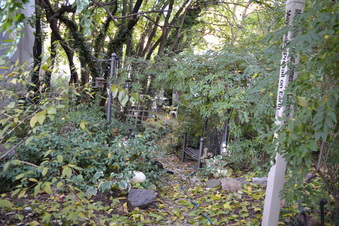 Enlarge photo 11