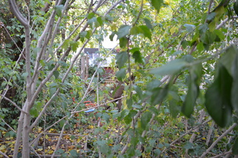 Enlarge photo 13