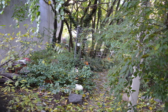 Enlarge photo 15