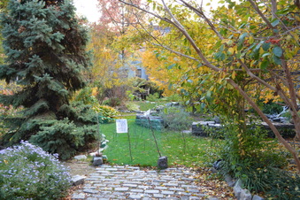 Enlarge photo 12