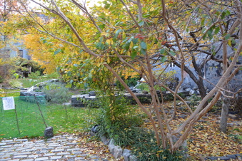Enlarge photo 13
