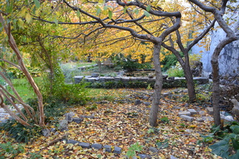 Enlarge photo 15