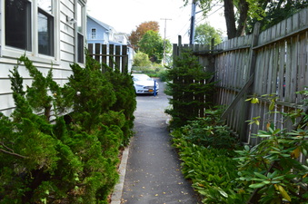 Enlarge photo 91