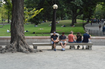 Enlarge photo 92
