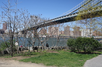 Enlarge photo 7