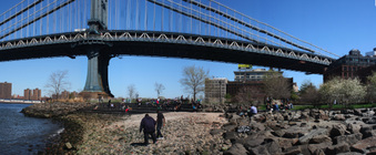Enlarge photo 14