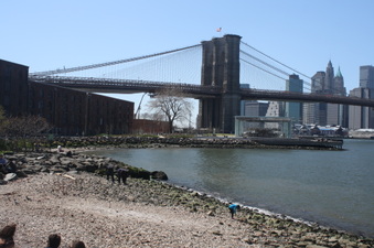 Enlarge photo 18