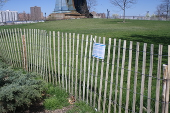 Enlarge photo 21
