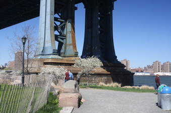 Enlarge photo 24