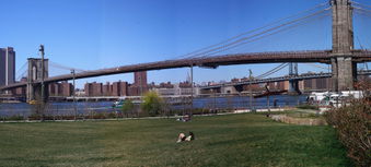 Enlarge photo 36