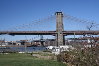 Enlarge photo 41