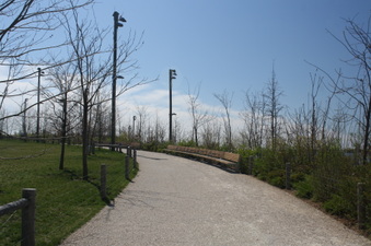 Enlarge photo 45