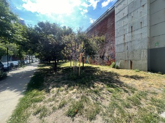 Enlarge photo 28