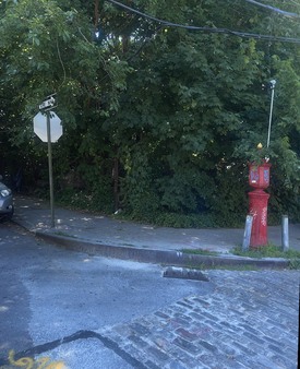Enlarge photo 10