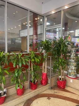 Enlarge photo 4