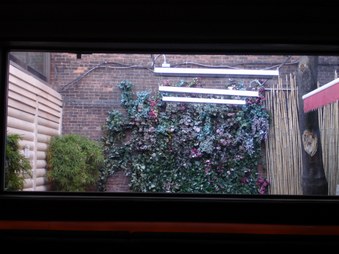Enlarge photo 71