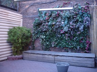 Enlarge photo 96