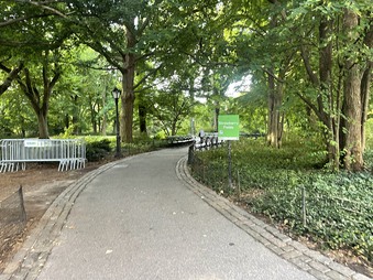 Enlarge photo 41