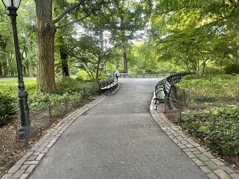 Enlarge photo 43